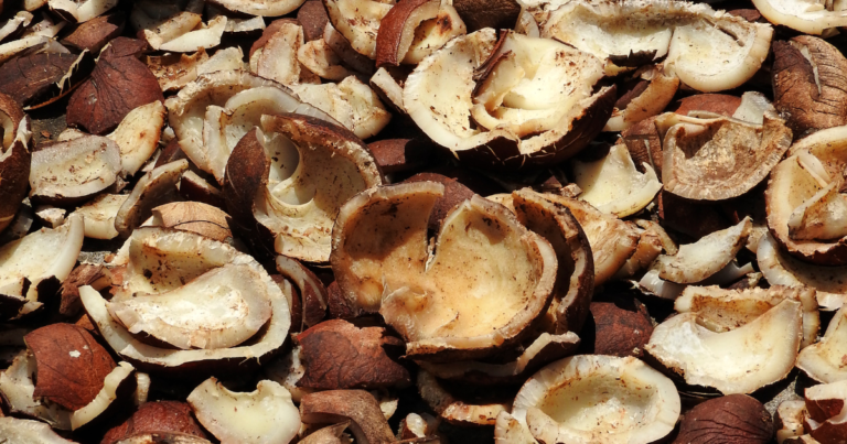 Copra as the Essential Foundation of the Coconut Processing Value Chain