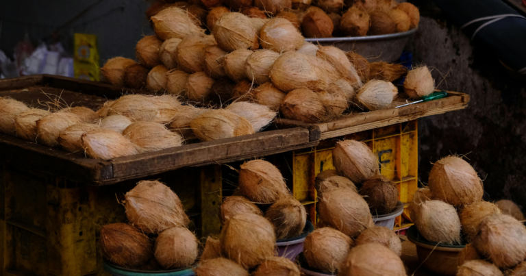 The Functional Power and Resilience of Coconut Husk