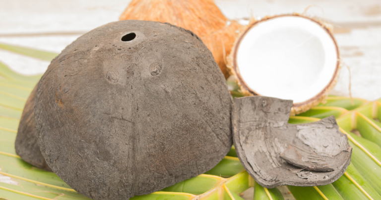 The Rising Dominance of Indonesian Coconut Shell Charcoal in Global Markets