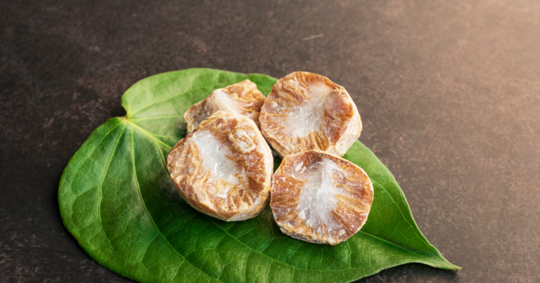 Understanding Betel Nut: Indonesia’s Valuable Agricultural Commodity