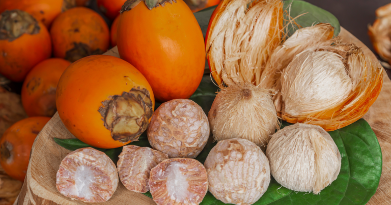 Exporting Betel Nut from Indonesia: Process and Market Overview