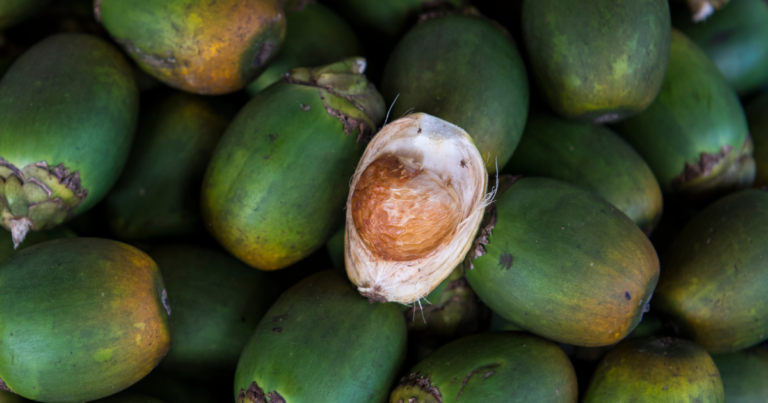 The Use of Betel Nut in Major Importing Countries