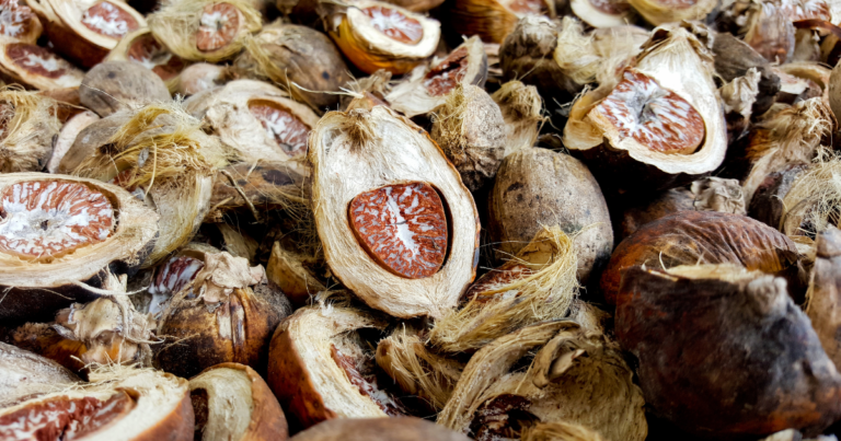 Jambi Strengthens Its Position in the Global Betel Nut Trade with 36 Ton Export to Bangladesh